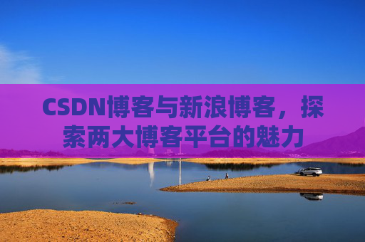 CSDN博客与新浪博客，探索两大博客平台的魅力